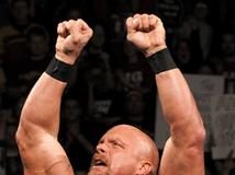 Stone Cold Steve Austin, Pro Rasslin, Wrestling