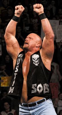 Stone Cold Steve Austin, Pro Rasslin, Wrestling