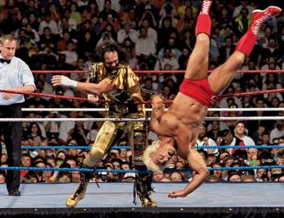 Greatest Videos Eeeeeever: WM8 Flair vs. Savage