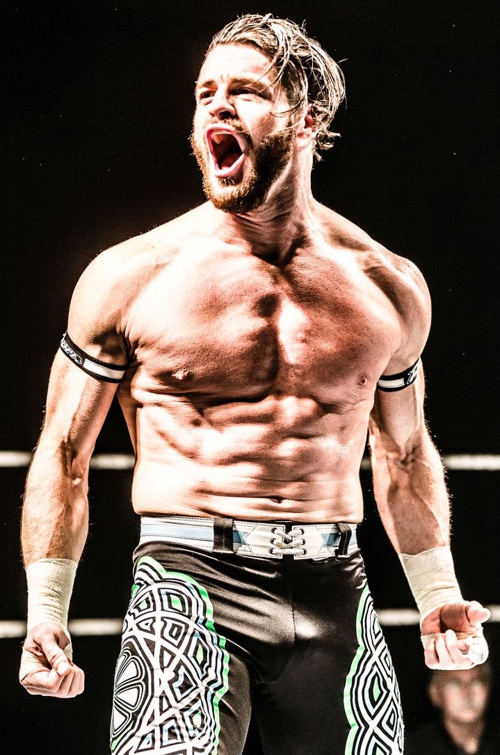 Evan Bourne, Matt Sydal, wwe, CWC, Roh, ring of honor